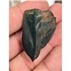 Image 19 : A Large Grouping Of Fossilized items And Artifacts See Pics INTERESTING LOT!