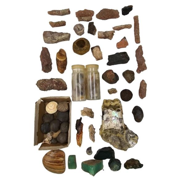 A Large Grouping Of Fossilized items And Artifacts See Pics INTERESTING LOT!