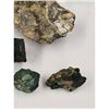 Image 3 : A Large Grouping Of Fossilized items And Artifacts See Pics INTERESTING LOT!