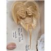 Image 15 : A Large Collection Of Unusual Florida Seashells With Labels (AMAZING)