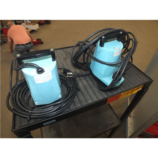 2 Sump Pumps