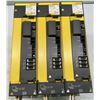 Image 1 : (3) Fanuc #A06B-6124-H207 Drives