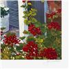 Image 2 : Country Flowers by Powell, John