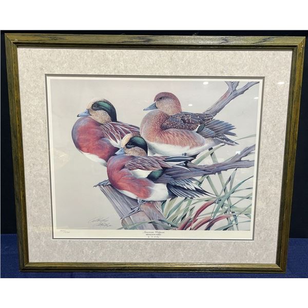 Art LaMay, American Widgeon Print 21Wx16H