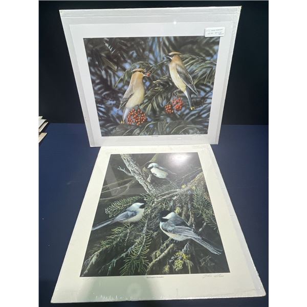 John Stone, Blackcapped Chickadees & Cedar Waxwings Prints