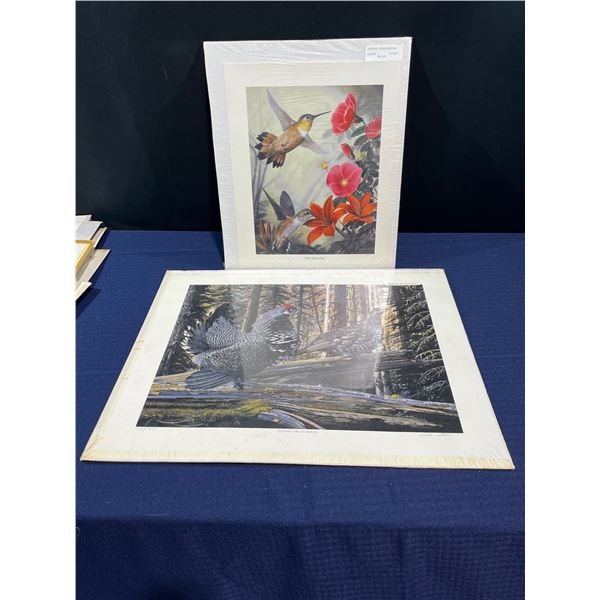 John Stone, Evening Spruce Grouse & Rufous Hummingbirds Prints