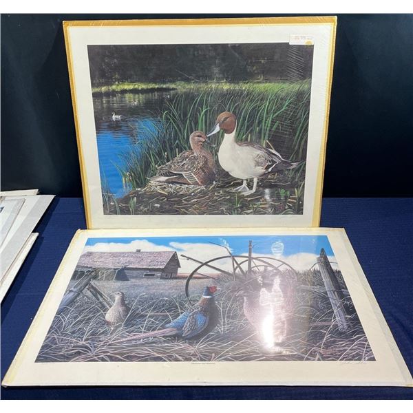John Stone, Pintail Paradise & Pheasants and Memories Prints