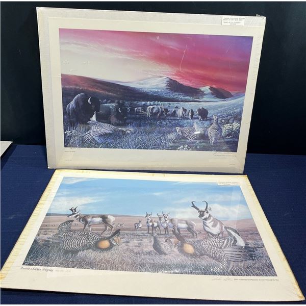 John Stone, Dawn on the Plains & Prairie Chicken Display Prints