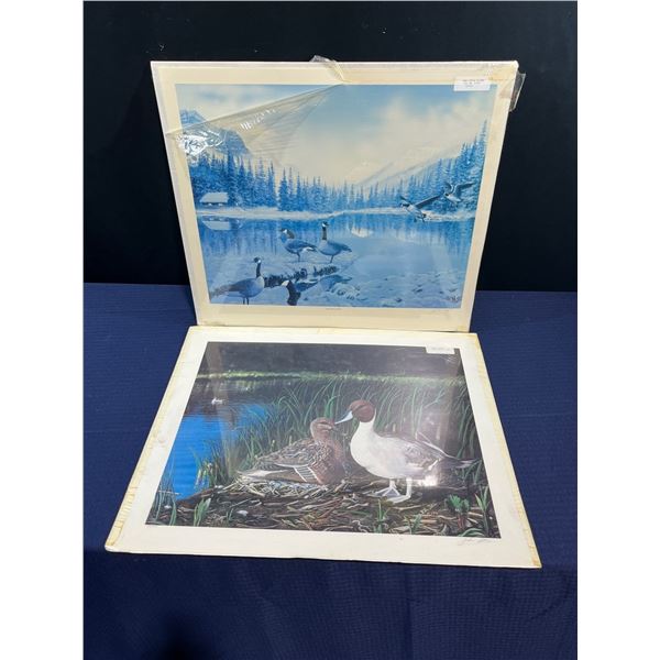 John Stone, Pintail Paradise & Early Spring Visitors Prints