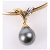 Image 4 : BLACK PEARL DIAMOND 14K YELLOW GOLD NECKLACE
