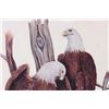 Image 2 : BOB CONNELL FRAMED BALD EAGLE NEST PRINT