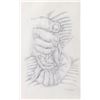 Image 2 : FERNAND LEGER ORIGINAL HANDS SKETCHING AFTER