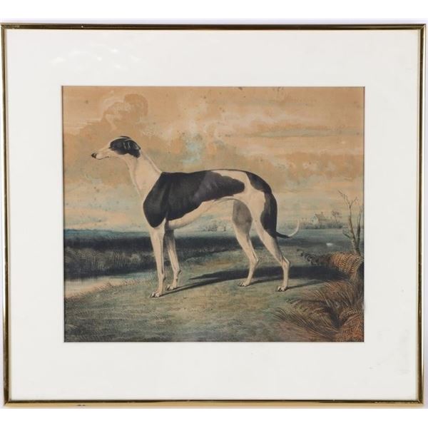 LITHOGRAPH OF A GREYHOUND IN THE FIELD