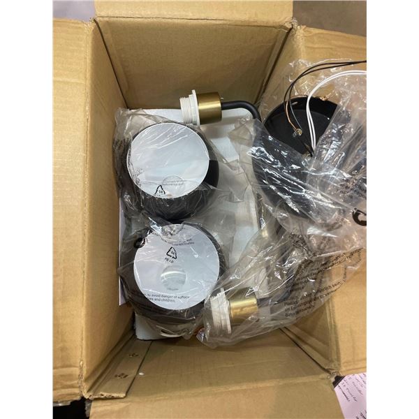 Roof Mounted Dual Lights with Round Black Shades