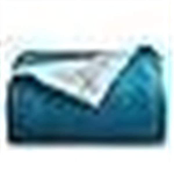 Bedsure Fleece Blanket Queen Size for Bed - Teal Queen Blanket Winter Fuzzy Cozy Soft Plush Warm Bla