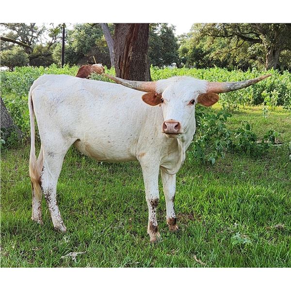 CR Pretty As A Peach