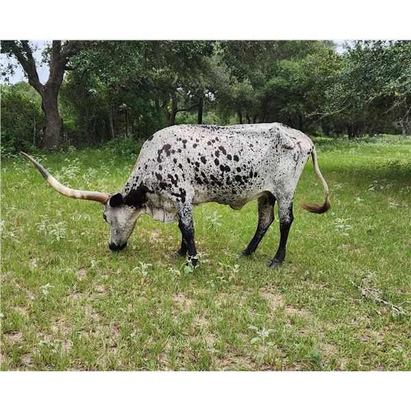 CR UNSTOPABULL MAYBELLINE