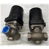 Image 2 : (2) Magnatrol #131W44 Valves