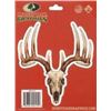 Image 2 : MOSSY OAK WHITETAIL SKULL DECAL