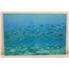 Image 1 : Waimea Opelu Metal Print by William Weaver 24" x 36"