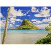 Image 2 : Coconut Cap Metal Print by Shane  Myers 30" x 20"