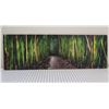 Image 1 : Bamboo Dance Canvas Giclee Art Print by Randy J Braun 16" x 48"