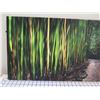 Image 2 : Bamboo Dance Canvas Giclee Art Print by Randy J Braun 16" x 48"