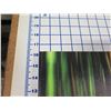 Image 7 : Bamboo Dance Canvas Giclee Art Print by Randy J Braun 16" x 48"