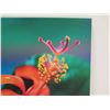 Image 2 : Rare Native Hibiscus Canvas Giclee Art Print by William Weaver 18" x 12"