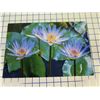 Image 2 : Water Lily Trio Metal Print by William Weaver 8" x 12"