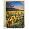 Image 2 : Dupont Sunnys Metal Art Print by Ren Shiroma 8" x 12"