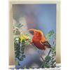Image 1 : Maui I'iwi Canvas Giclee Art Print by Leighton Lum 8" x 12"