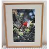 Image 1 : Chest Held High Art Print by Ren Shiroma, Framed 24" x 20"
