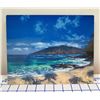Image 1 : Wailea Blues Metal Print by Walfrido Garcia 8" x 10" (retail $295)