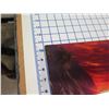Image 3 : State of Love Metal Print by Walfrido Garcia 10" x 8" (retail $295)