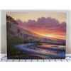 Image 1 : Warmth of the Sun Metal Print by Walfrido Garcia 8" x 10" (retail $295)