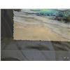 Image 2 : Essence of Paradise Deckled Watercolor Art Print #3/95 by Walfrido Garcia 16" x 20" (retail $250)