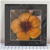 Image 1 : Yellow and Beige Hibiscus Matted Paper Art Print by Walfrido Garcia 12" x 12"