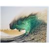 Image 2 : Thrown Limited Edition Metal Art Print by Zak Noyle 32" x 44" (retail $500)