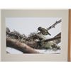 Image 2 : An Endangered Legend Art Print by Ren Shiroma, Framed 20" x 24"