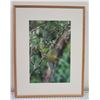Image 1 : First Flight Art Print by Ren Shiroma, Framed 27" x 34"