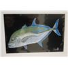 Image 1 : Fish Matted Paper Art Print by Shane Hamamoto 12" x 16"