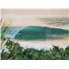 Image 2 : Green Room Metal Print by Kammeran Keola 16" x 24"