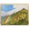 Image 1 : Rainbow State Metal Art Print by Kammeran Keola 12" x 16"
