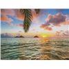 Image 2 : Twin Steps Metal Print by Shane Myers 24" x 36"