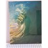 Image 2 : Sea Glass Metal Print #9/100 Signed by Zak Noyle 18" x 24"