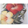 Image 2 : Hibiscus Flowers Art Print by Eve, Hawaii 19" x 16"