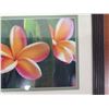 Image 2 : Framed Photographic Art, Plumeria 27" x 22"
