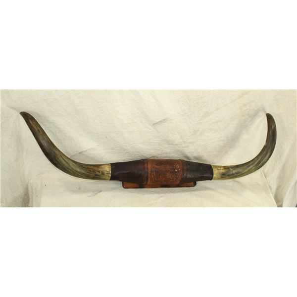 Longhorn Plaque