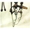 Image 4 : Wyoming Horsehair Bridle